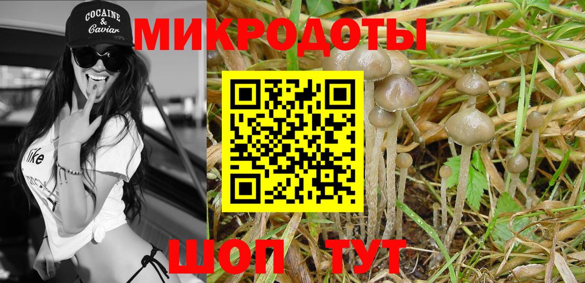 Галлюциногенные грибы MAGIC MUSHROOMS Санкт-Петербург
