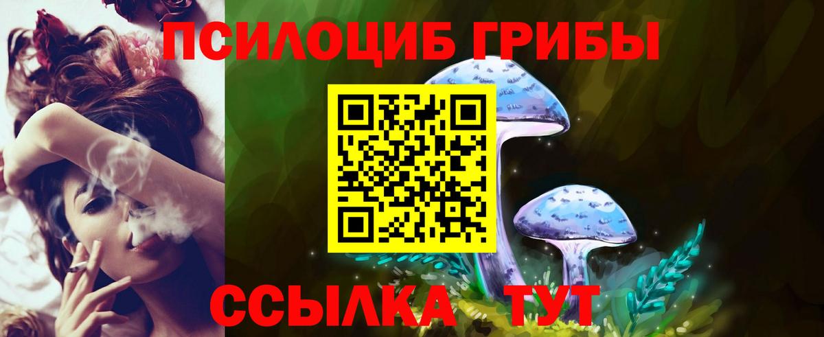 Санкт-Петербург  Галлюциногенные грибы GOLDEN TEACHER  Вход с VPN 